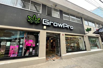 MDZol | Grow Pro es una de las tantas tiendas dedicadas a vender semillas de cannabis Foto: Andrea Ginestar / MDZ