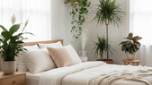Las plantas para un mejor descanso. Fuente: IA Gemini. Las plantas para un mejor descanso. Fuente: IA Gemini.