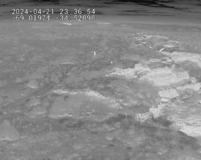 El hombre y su mascota fueron guiados desde un dron Foto: Ministerio de Seguridad de Mendoza