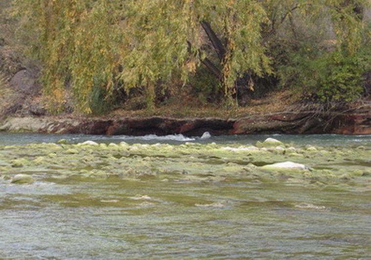 Desde el sur provincial pidieron una revisión profunda del convenio firmado por las aguas del Atuel.