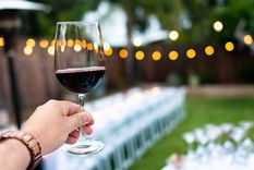 llega un concurso que premiara a los jovenes del vino