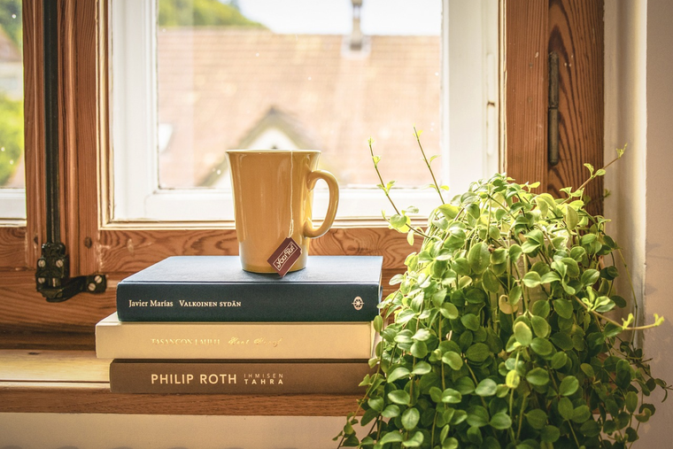 Mantener tus libros en orden es ideal para la decoración de tu hogar. Foto: Pixabay - pixabay.com