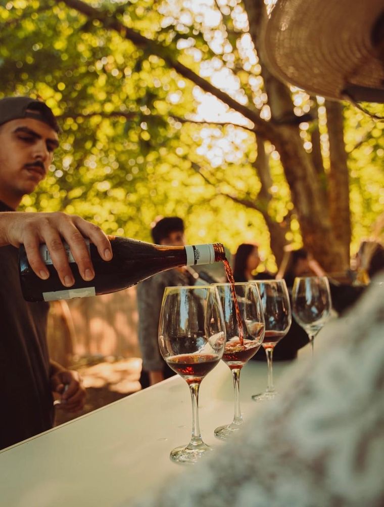 La frescura de sus vinos acompañaron la tarde. La frescura de sus vinos acompañaron la tarde.