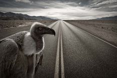 Foto: Publicada por gdefon.com