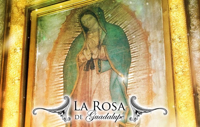 La Rosa de Guadalupe lidera el rating. La Rosa de Guadalupe lidera el rating.
