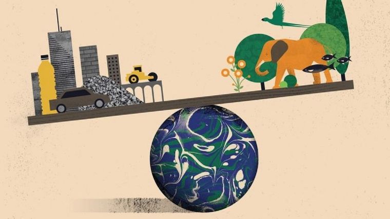 Se estima que lo creado por el hombre pesa más que todos los seres vivos.