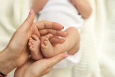 La cultura del cuidado nos llama a ser refugio donde hay desconsuelo.