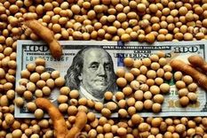 El complejo sojero es el principal generador de divisas en el país, con más del 40% de las exportaciones agroindustriales.