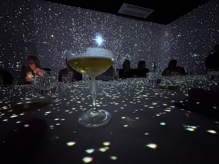 Frenessí Argentina está ubicado en Puerto Madero. Foto: Gabriel Sotelo