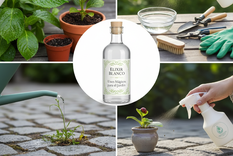 El producto mágico para el jardín. Fuente IA Gemini.