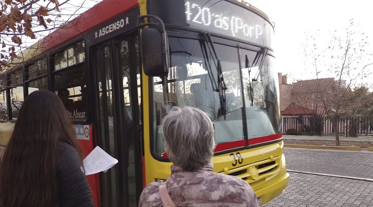 El servicio de transporte funciona con normalidad. Foto: Rodrigo DAngelo / MDZ