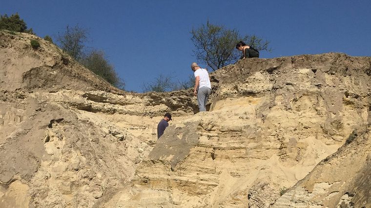 El hallazgo se produjo en Victoria, Entre Ríos y es el primer registro fósil de un pelícano para la Argentina Foto: Conicet