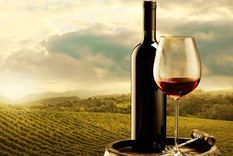 El vino argentino: otra industria que lucha en estos días contra la crisis económica.