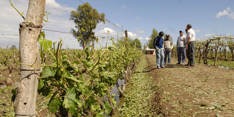 Los daños se repiten año a año. Foto: Gonzalo Bravo / mdz