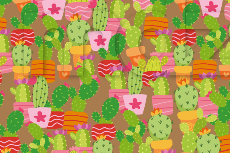 ACERTIJO VISUAL ACERTIJO VISUAL, RETO VISUAL, SANDÍA Foto: MDZ ONLINE