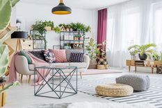 plantas de interior: secretos para que siempre esten relucientes