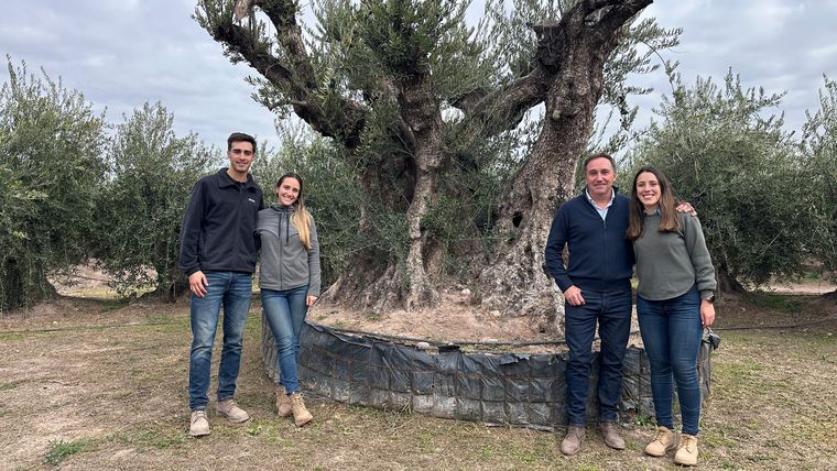 Emilio Cicero y sus hijos son los responsables del rescate de más de 5.000 plantas de olivo centenarias de Mendoza.&nbsp;