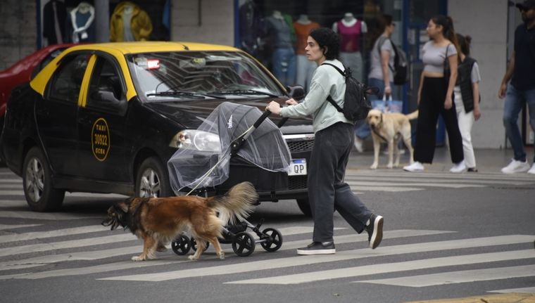 Muchas madres mendocinas crían y sostienen solas sus hogares, lo cual afecta considerablemente la salud mental de las madres.