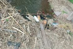 encontraron el cuerpo de un hombre y buscan determinar si es franco tapia