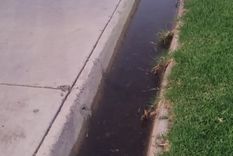 Agua estancada tras la tormenta Foto: Gentileza