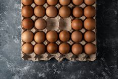 Huevos
