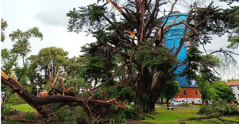 Daños por el temporal en Miramar Foto: NA