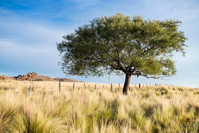 El Valle de Pancanta, en San Luis, combina naturaleza, leyendas y la calma típica de las sierras. &nbsp;