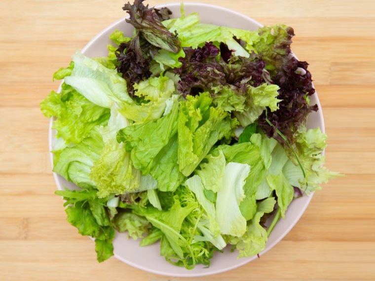 Existe una técnica para mantener fresca la lechuga por más de 60 días Foto: Shutterstock