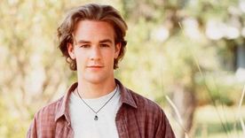 JAMES VAN DER BEEK.