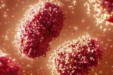 Foto: SCIENCE PHOTO LIBRARY