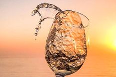 Un vino con comercio justo