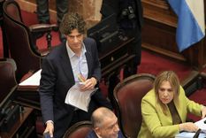 Lousteau confirmó que no apoyará al DNU de Milei en la votación del Senado Foto: Noticias Argentinas