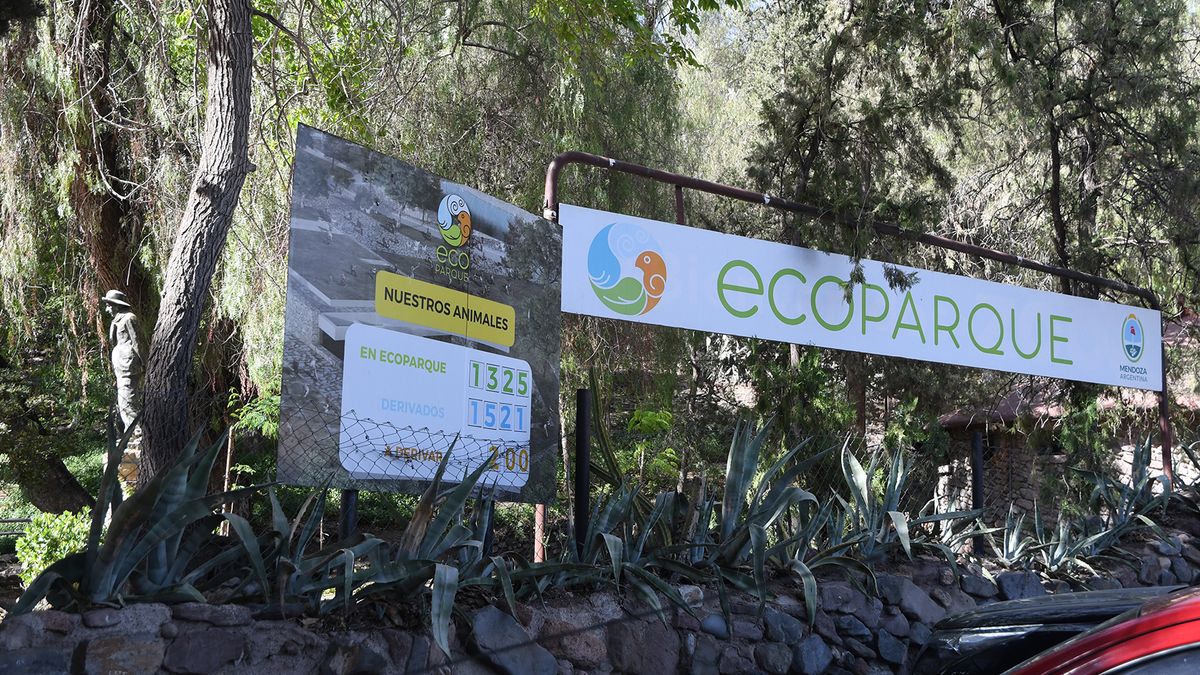 A casi 10 años del anuncio, ¿cómo está hoy el Ecoparque y cuándo será la reapertura?