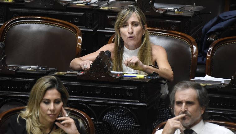 La mendocina Mercedes Mechi Llano, diputada de La Libertad Avanza, votó a favor de la Ley Bases Foto: Juan Mateo Aberastain/MDZ