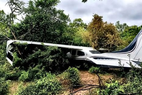 Un dato de última hora que según pudo constatar el diario El Tribuno dos vaqueanos que se encontraban en la zona y declararon haber visto a dos personas armadas salir de la aeronave poco después del impacto. Un dato de última hora que según pudo constatar el diario El Tribuno dos vaqueanos que se encontraban en la zona y declararon haber visto a dos personas armadas salir de la aeronave poco después del impacto.