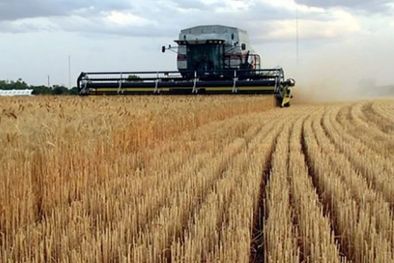 MDZol | Frente a un planeta con más de 8000 millones de personas, el profesional de las ciencias agrarias, se enfrenta día a día a la toma de decisiones para encontrar soluciones, no solo alimentarias. Foto: MDZ