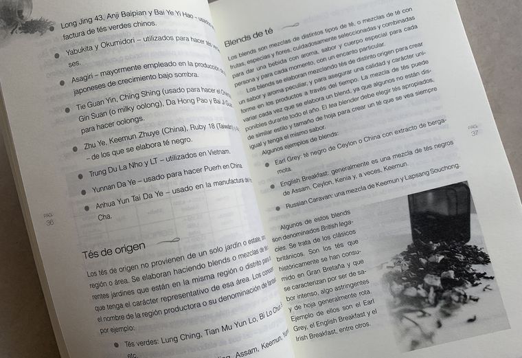 Aprenda a hablar de vinos