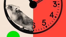 Buscamos personas adictas a su trabajo: por qué algunas tecnológicas están imponiendo la jornada de 72 horas semanales