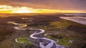 Bosques de lenga y ñire en Tolhuin, Tierra del Fuego. La reforma sobre tierras esconde un proceso de extranjerización y pone en peligro la soberanía.&nbsp;