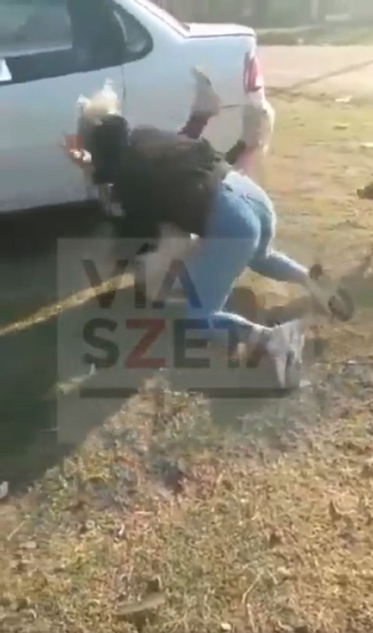 La pelea de las mujeres Foto: Captura de video-Gentileza Mauro Szeta