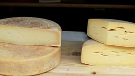 El gouda es uno de los quesos más exquisitos de la actualidad. Foto: Pixabay - pixabay.com