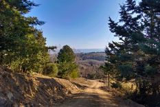 La primavera realza la belleza de los pueblos cordobeses, donde naturaleza y tradición se combinan en cada escapada.