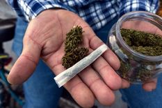 crucial: mexico legaliza totalmente la marihuana para consumo personal