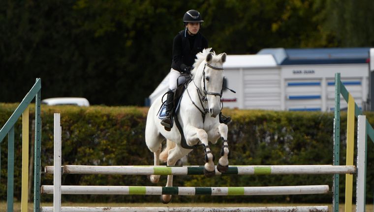 35 jinetes y jinetas participaron de la clínica de Alves Teixeira en el Club Hípico Mendoza. Foto: Rodrigo DAngelo / MDZ