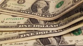 Dólar oficial bajó luego de un ciclo alcista. 