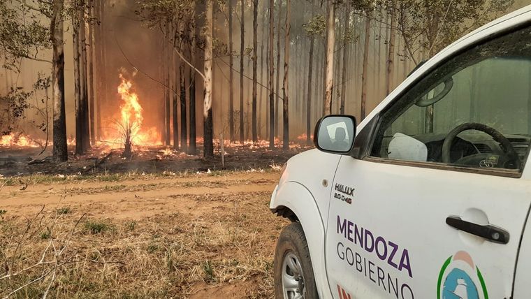 El equipo de brigadistas mendocinos viajó el lunes pasado a la zona de desastre en Corrientes Foto: Gentileza