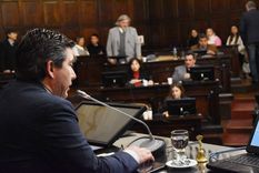 La Cámara de Diputados de Mendoza suspendió las PASO.&nbsp;