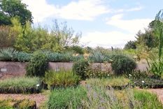 ¿que es el xeripaisajismo? jardines para cuidar el agua