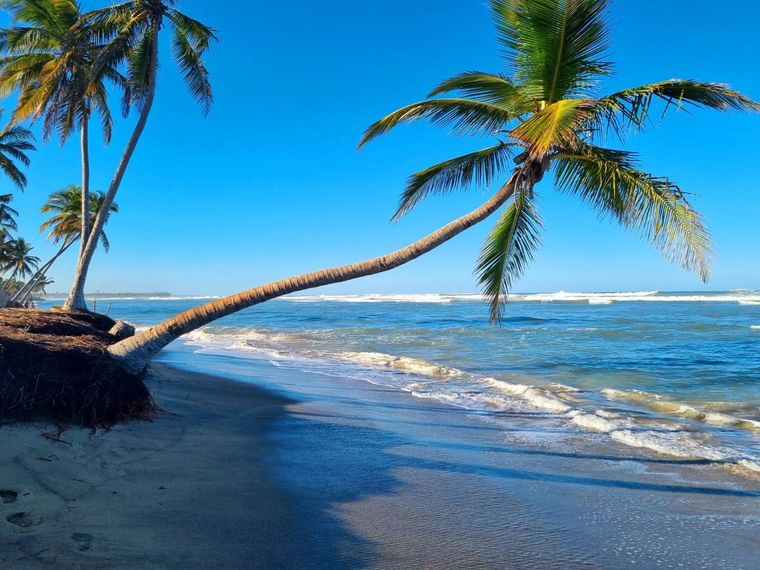 Punta Cana.