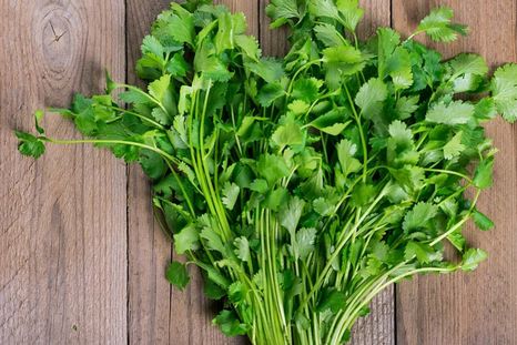 Estos consejos te ayudarán a conservar frescas estas hierbas. Foto: Archivo